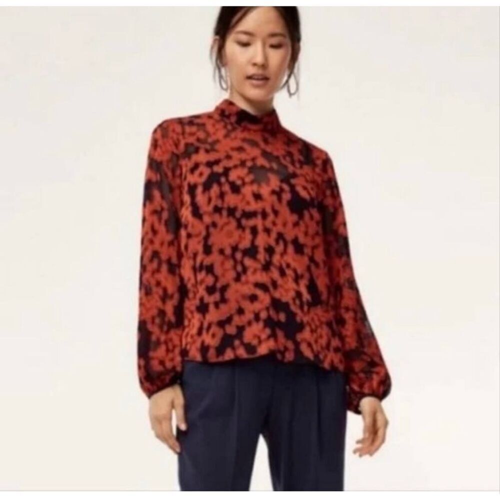 Aritzia Babaton Grandados floral sheer blouse